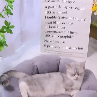 Flower-Shaped Pet Bed