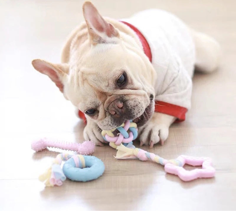 Dog Interactive Chewing Toy