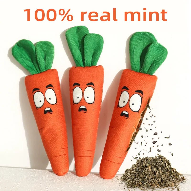 Interactive Simulation Toy