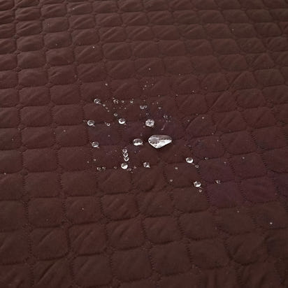 Waterproof Sofa Protector